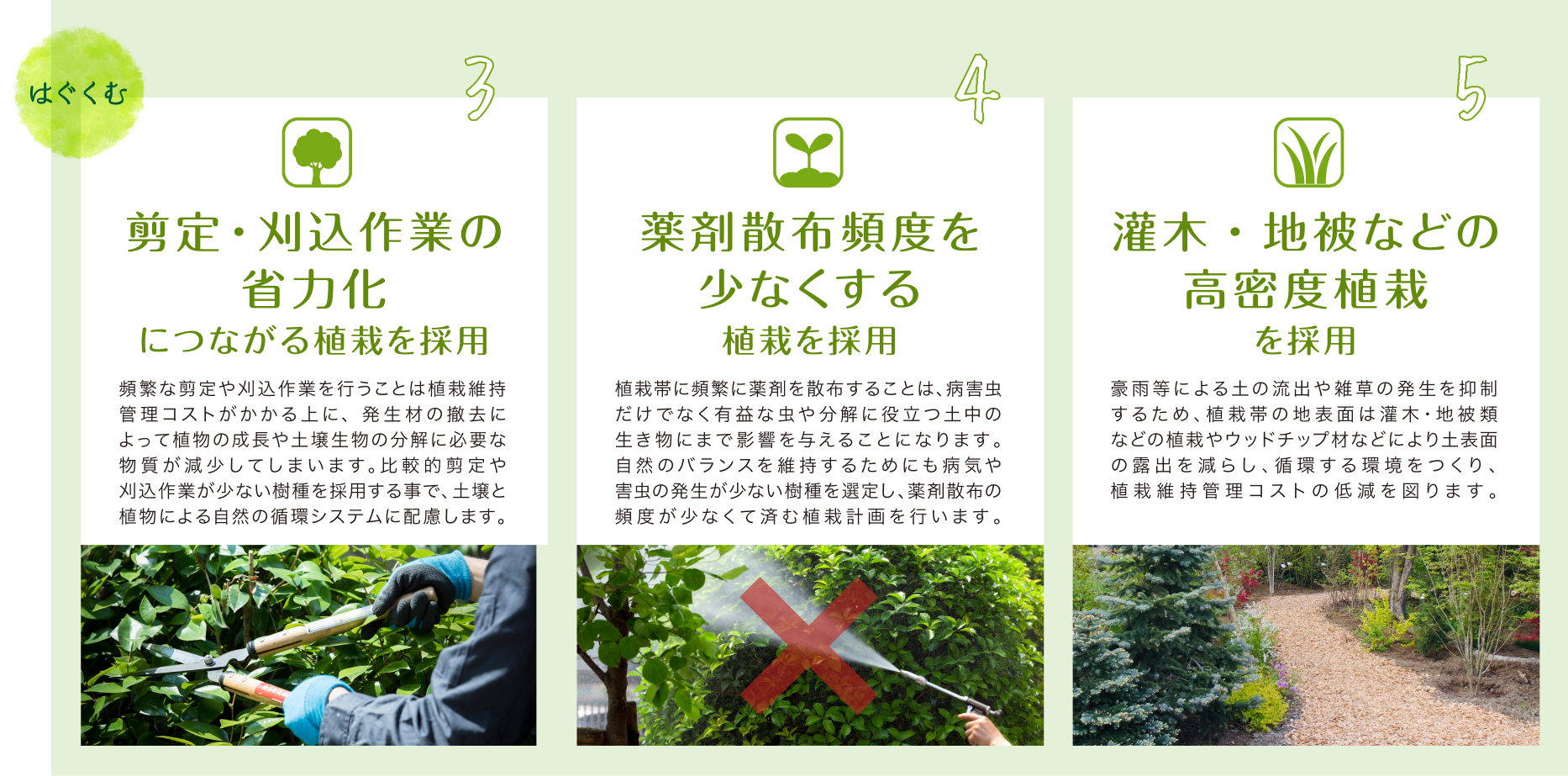 【はぐくむ】1.剪定・刈込作業の省力化につながる植栽を採用:頻繁な剪定や刈込作業を行うことは植栽維持管理コストがかかる上に、発生材の撤去によって植物の成長や土壌生物の分解に必要な物質が減少してしまいます。比較的剪定や刈込作業が少ない樹種を採用する事で、土壌と植物による自然の循環システムに配慮します。2.薬剤散布頻度を少なくする植栽を採用:植栽帯に頻繁に薬剤を散布することは、病害虫だけでなく有益な虫や分解に役立つ土中の生き物にまで影響を与えることになります。自然のバランスを維持するためにも病気や害虫の発生が少ない樹種を選定し、薬剤散布の頻度が少なくて済む植栽計画を行います。3.灌木・地被などの高密度植栽を採用:豪雨等による土の流出や雑草の発生を抑制するため、植栽帯の地表面は灌木・地被類などの植栽やウッドチップ材などにより土表面の露出を減らし、循環する環境をつくり、植栽維持管理コストの低減を図ります。