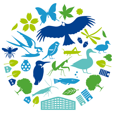 大京の「生物多様性保全」の取り組み