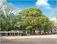 和田堀公園