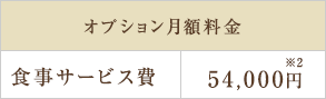 オプション月額料金